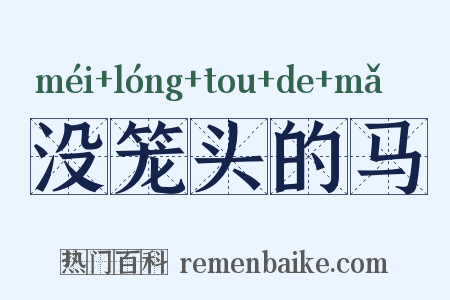 没笼头的马是什么意思的图片
